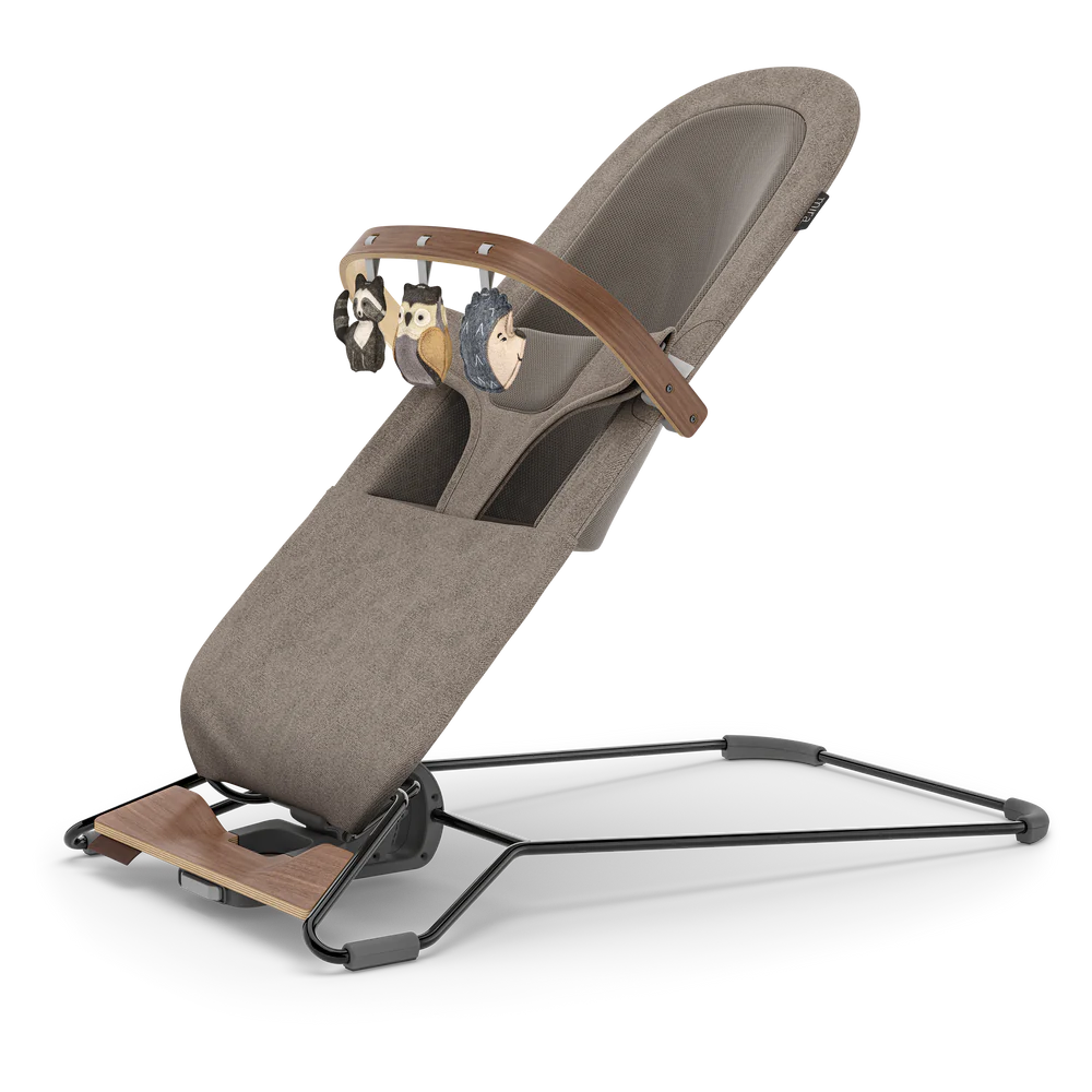 Mira 2-in-1 Bouncer and Seat - Wells