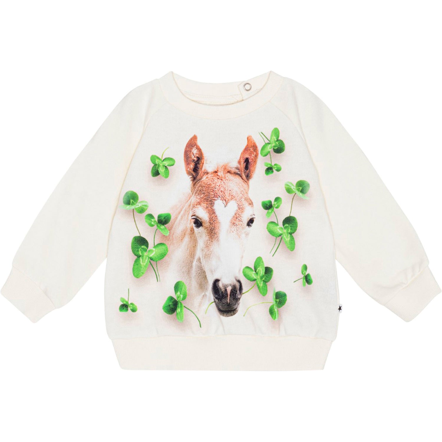 Disc Sweatshirt - Clover Floral