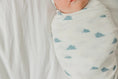 Load image into Gallery viewer, Knit Swaddle Blanket - Dream
