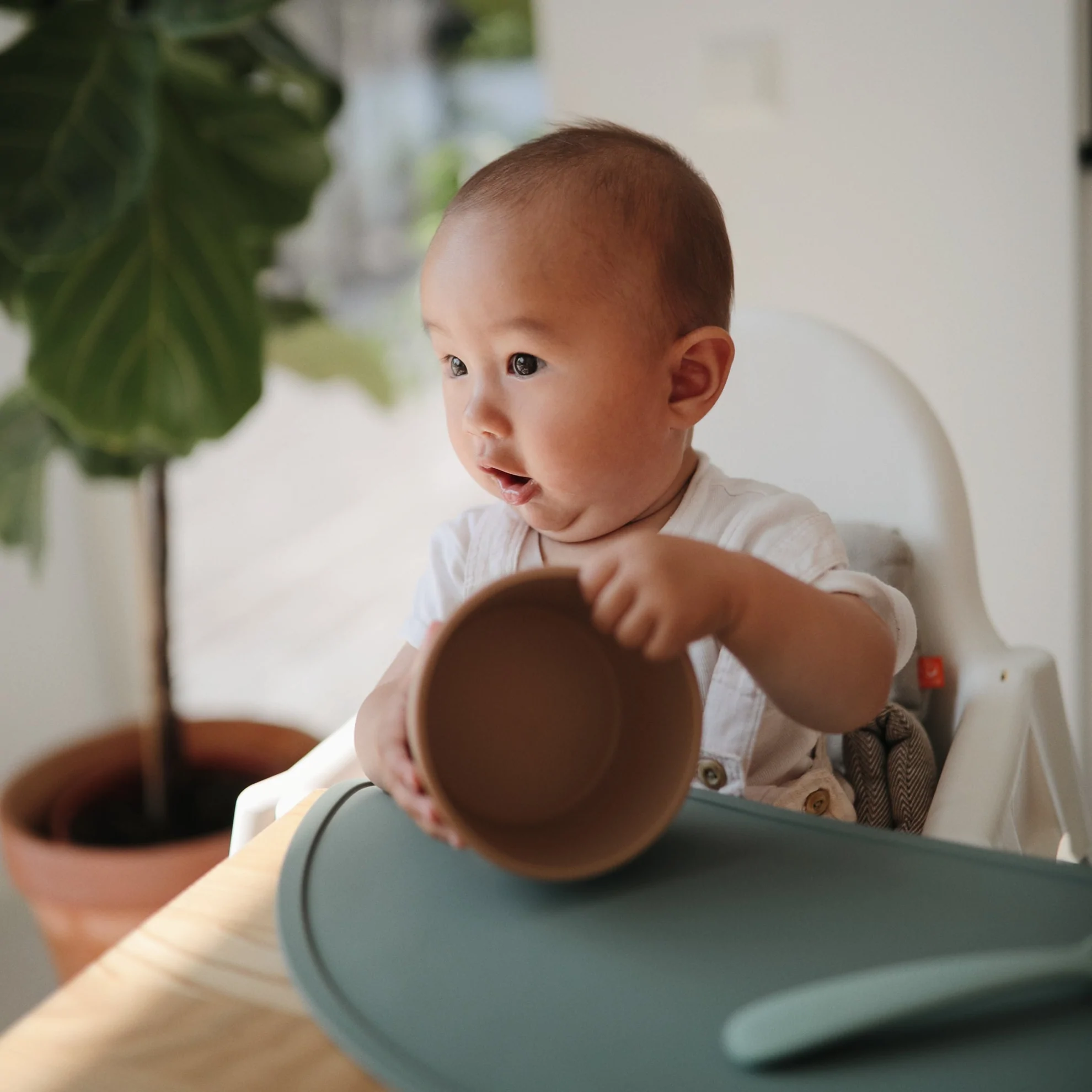 Silicone Suction Bowl - Woodchuck